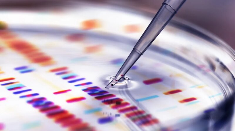 Pipette adding sample to petri dish with DNA profiles in background