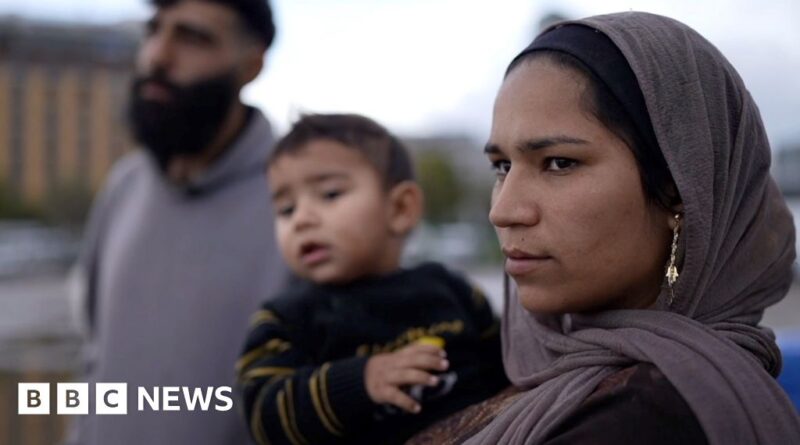 'Our home is gone': BBC speaks to displaced families in Lebanon