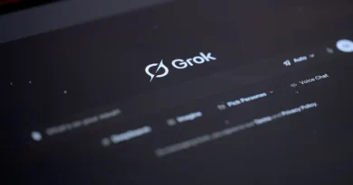 xAI founding member describes 'grind' to get first Grok model out: 'No drugs, not even caffeine, just pure adrenaline'