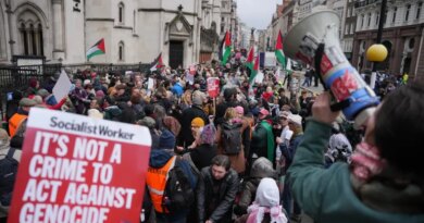 Supporters of Palestine Action stage a protest outside the Royal Court of Justice in London