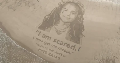 ‘Substantial evidence’ of double-tap strike in killing of Hind Rajab
