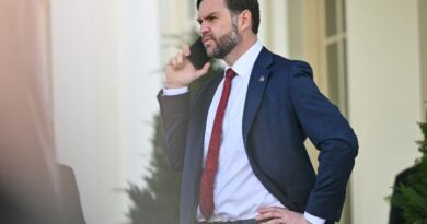 'High risk': US VP Vance tasked by Trump to lead Iran talks