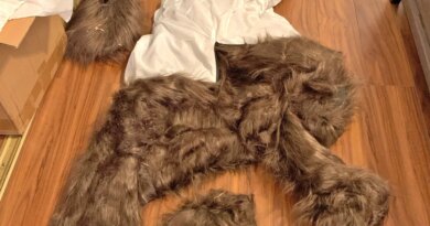 A bizarre insurance scam was exposed as 'clearly a human in a bear suit' damaging luxury cars | Fortune