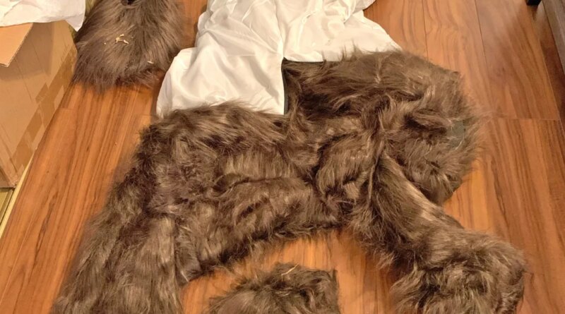 A bizarre insurance scam was exposed as 'clearly a human in a bear suit' damaging luxury cars | Fortune