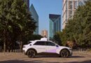 A self-driving car in Austin killed a mother duck, sparking neighborhood outrage | TechCrunch