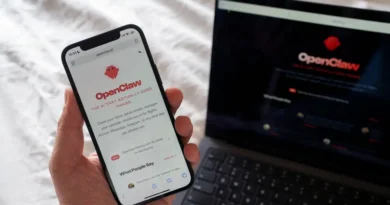 A startup founder explains why she built 9 AI employees: 'I am a breathless OpenClaw bro'