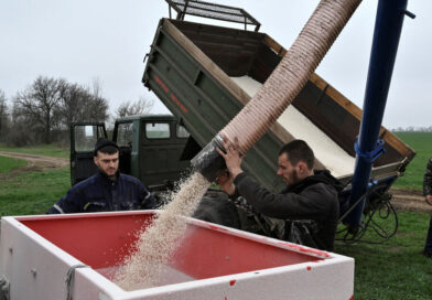 Analysis-Iran war fertiliser squeeze could spell trouble for next year's grain harvests