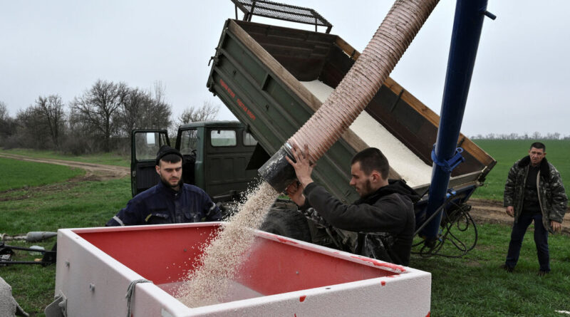 Analysis-Iran war fertiliser squeeze could spell trouble for next year's grain harvests