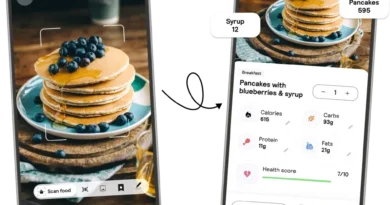 Apple’s Cal AI crackdown signals it’s still policing the App Store | TechCrunch