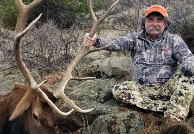 Big-Game Hunter From California Is Killed by Elephant in Gabon
