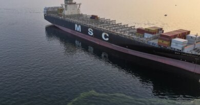 Capture of ships by US, Iran violates international law, shipping body says