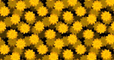 gold bitcoin logos featured on spiky-shaped coins on a darkened black background