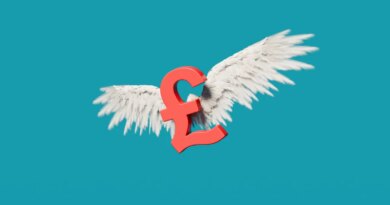 Red Pound Sterling Symbol with Angel Wings
