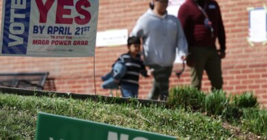 Democrats up in Virginia, but US voters may pay price for redistricting war
