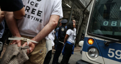 Dozens detained in New York City protest over US arms sales to Israel