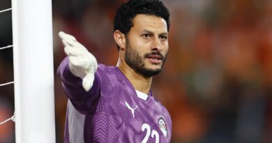 Egypt and Al-Ahly keeper El-Shenawy banned four games for striking referee
