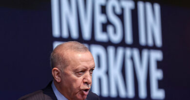 Erdogan rejects criticism of Turkey's peace efforts with Kurdish militants