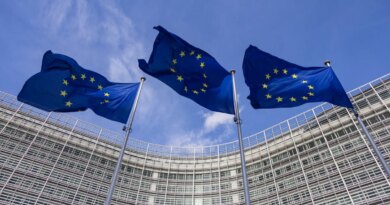 Flags of Europe as seen waving from the flagpoles in front of the EU Commission headquarters.