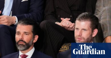 Firm backed by Trump sons tries to sell drone interceptors to Gulf states being attacked by Iran