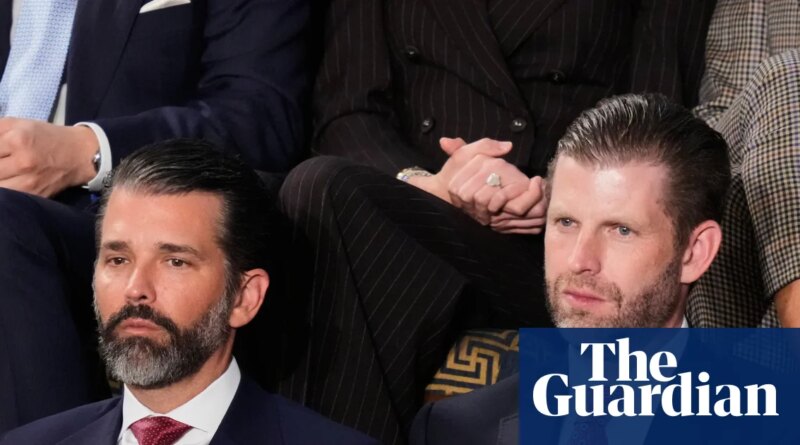 Firm backed by Trump sons tries to sell drone interceptors to Gulf states being attacked by Iran