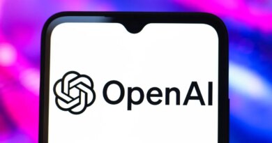 The OpenAI logo is seen displayed on a smartphone screen.