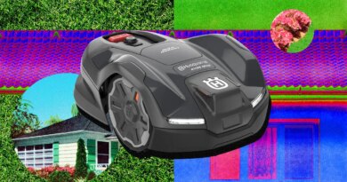Forget Lawn Care With One of Our Favorite Robot Mowers