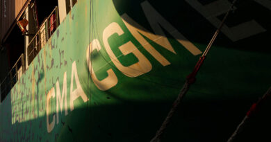 French-owned CMA CGM container ship passes Strait of Hormuz, data shows