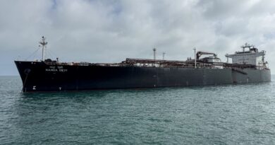 From France to India: Who is Iran allowing through the Strait of Hormuz?