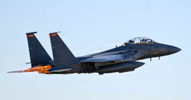 Hide, find water: US ex-pilot details how to survive being shot down