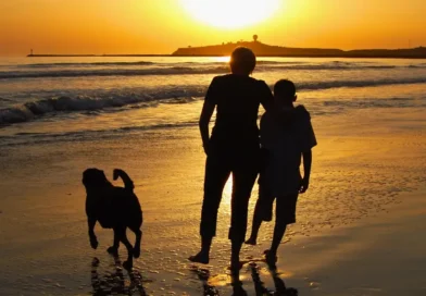 I sent my son to Australia alone when he was 13 so he'd be more independent. Now that he's an adult, I get advice from him.