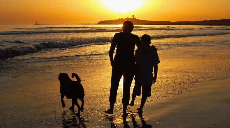 I sent my son to Australia alone when he was 13 so he'd be more independent. Now that he's an adult, I get advice from him.