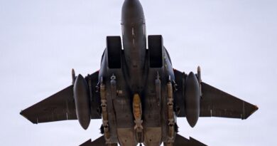 Iran, US race to find crew member of crashed American fighter jet