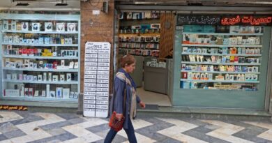 Iran entrepreneurs angered by months-long internet blackout