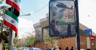 Iran releases on bail Japan national jailed amid antigovernment protests
