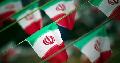 Iran flags