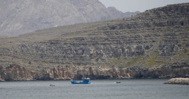 Italy ready to deploy two minesweepers in Hormuz Strait, navy chief says