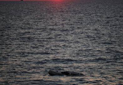 Libya says 17 migrants perish at sea, nine missing feared dead