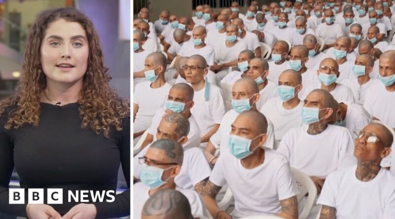 Mass trial for 486 alleged gang members begins in El Salvador