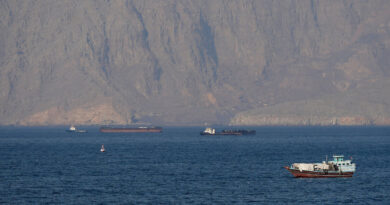 More than 20 vessels pass Strait of Hormuz on Saturday, Kpler data shows