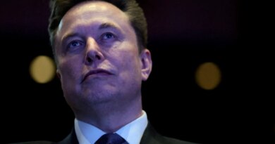 Musk testifies at OpenAI trial it’s not OK to ‘loot a charity’