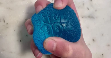 NeeDoh squishies have gone viral. 'It wasn't intentional,' the CEO tells me.