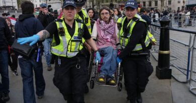 Over 200 arrested at pro-Palestinian rally in London