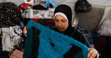 Rats infest Gaza's tent camps, biting children and spreading disease