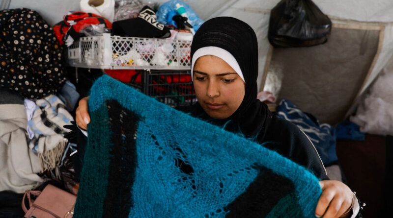 Rats infest Gaza's tent camps, biting children and spreading disease