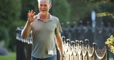 Reed Hastings’s planned exit from $455 billion Netflix ‘had nothing to do with’ the failed deal for Warner Bros., says Ted Sarandos | Fortune