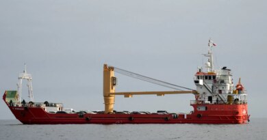 Shipping firms seek clarifications before crossing Hormuz