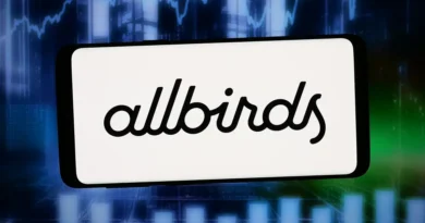 These Allbirds AI jokes are as fire as the company's stock price