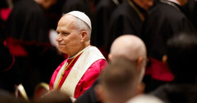 Trump attacks Pope Leo, calling him 'weak' on crime and 'terrible'