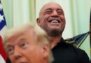 Trump speeds review of psychedelics after Joe Rogan texted him about ibogaine. 'Sounds great. Do you want FDA approval? Let's do it' | Fortune