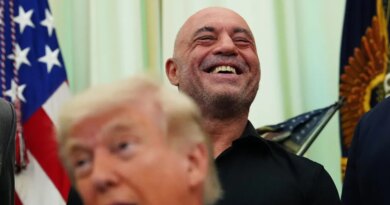 Trump speeds review of psychedelics after Joe Rogan texted him about ibogaine. 'Sounds great. Do you want FDA approval? Let's do it' | Fortune